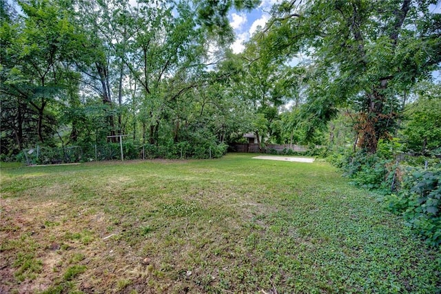 3100 N 56th St, Kansas City, KS 66104 - view of yard