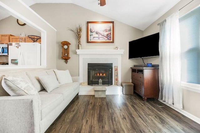 31241 W 172nd Ter, Gardner, KS 66030 - living room featuring lofted ceiling, dark wood-style flooring, and a tile fireplace