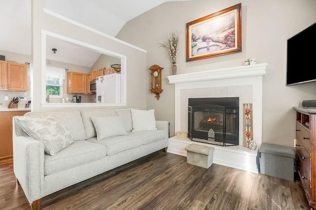31241 W 172nd Ter, Gardner, KS 66030 - living area with vaulted ceiling, dark wood-style floors, and a tiled fireplace