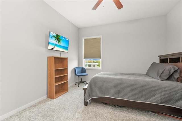 1095 N Findley St, Olathe, KS 66061 - photo 18