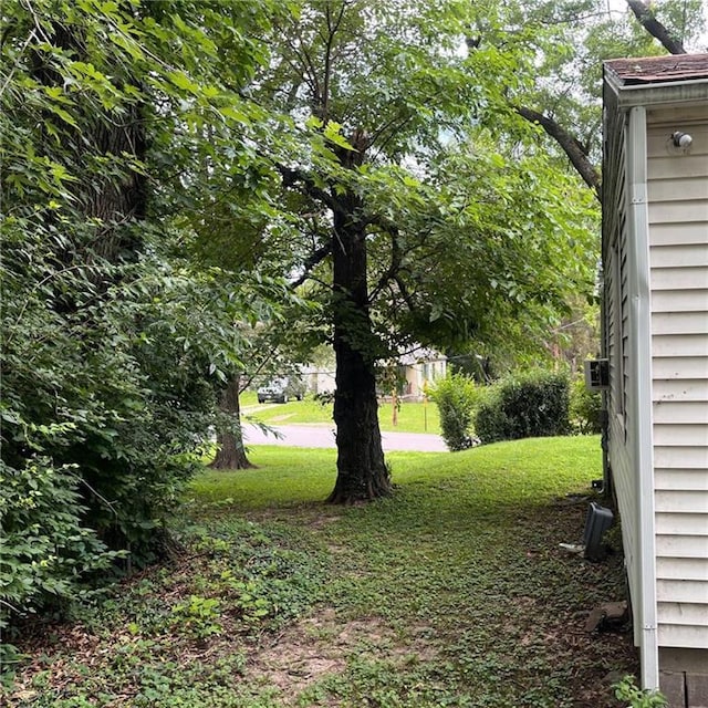 2125 N 45th St, Kansas City, KS 66104 - view of green lawn
