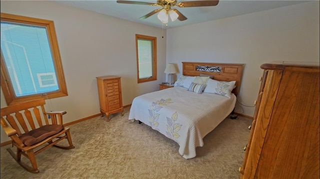 1000 Lake Viking Ter, Altamont, MO 64620 - photo 7