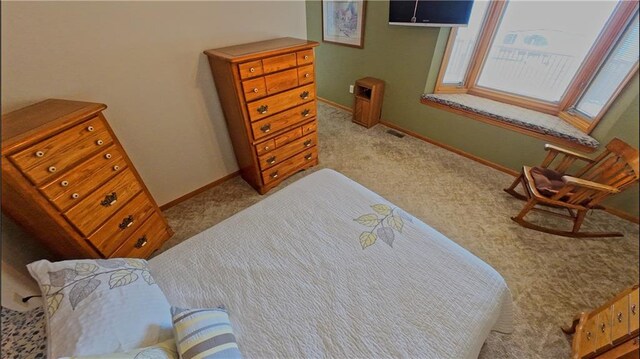 1000 Lake Viking Ter, Altamont, MO 64620 - photo 8