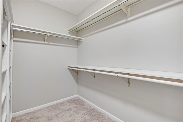11016 W 96th Ter, Overland Park, KS 66214 - walk in closet with carpet