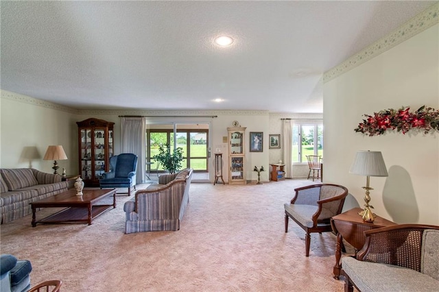 205 E 10th St, Carrollton, MO 64633 - living room with light colored carpet, plenty of natural light, and a textured ceiling
