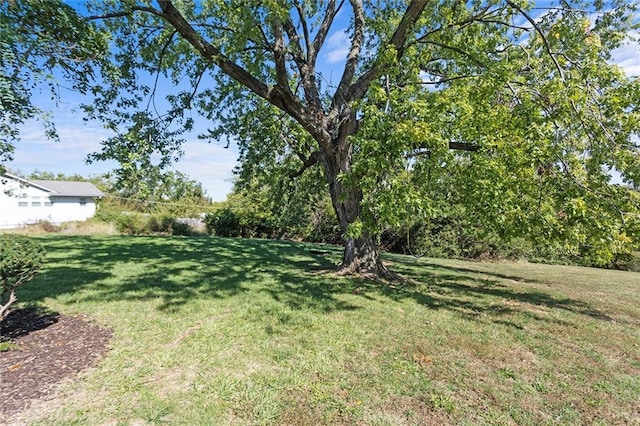 2517 Red Bridge Ter, Kansas City, MO 64131 - view of green lawn