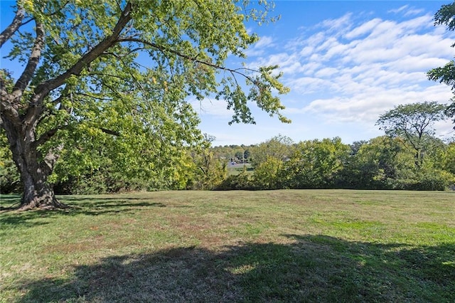 2517 Red Bridge Ter, Kansas City, MO 64131 - view of green lawn featuring a view of trees