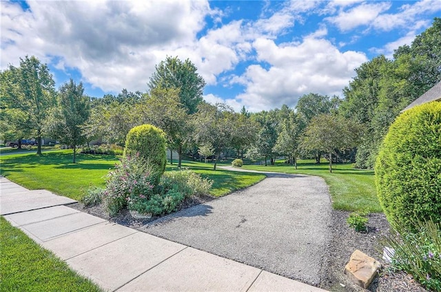 12337 Gillette St, Overland Park, KS 66213 - view of home's community featuring a yard