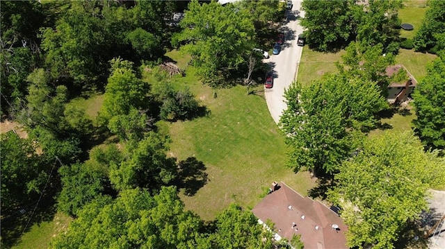 6828 Vermont Ave, Raytown, MO 64133 - photo 1