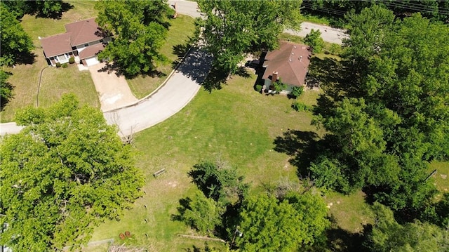 6828 Vermont Ave, Raytown, MO 64133 - photo 4