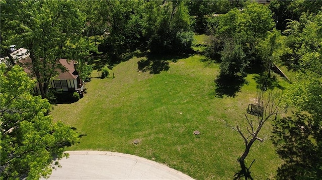 6828 Vermont Ave, Raytown, MO 64133 - photo 5