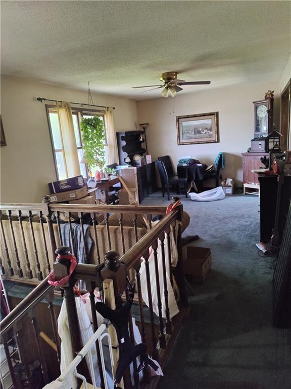505 E Harold St, Olathe, KS 66061 - stairway featuring a ceiling fan, carpet, and a textured ceiling