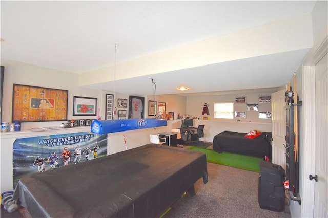 1207 SW 9th St, Oak Grove, MO 64075 - rec room with carpet floors