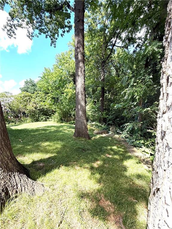 4531 Anderson St, Shawnee, KS 66226 - view of grassy yard