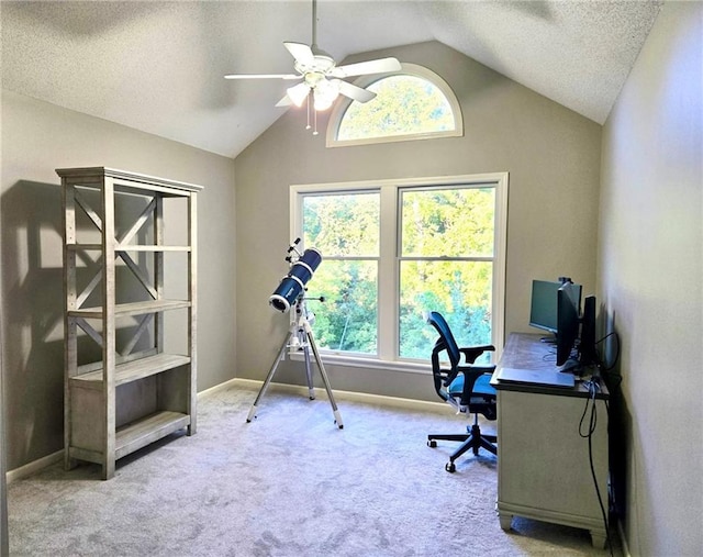 4531 Anderson St, Shawnee, KS 66226 - office featuring lofted ceiling, carpet floors, a ceiling fan, and a textured ceiling