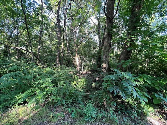 W Oak St, Cherokee, KS 66724