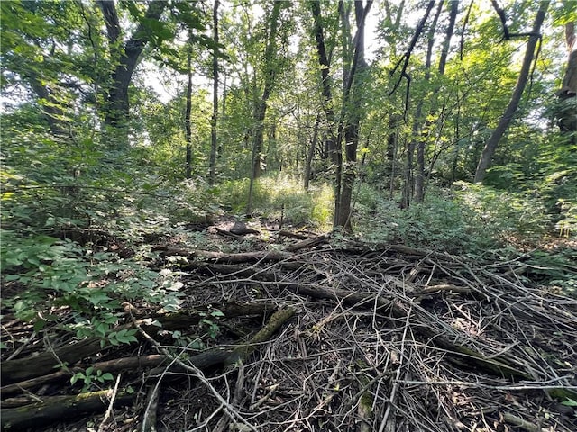 W Oak St, Cherokee, KS 66724