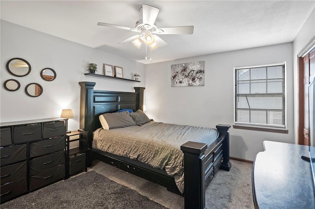 11579 Earnshaw St, Overland Park, KS 66210 - bedroom with carpet floors and a ceiling fan