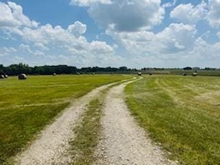 15820 Short Ln, Smithville, MO 64089 - photo 4