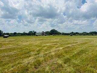 15820 Short Ln, Smithville, MO 64089 - photo 7