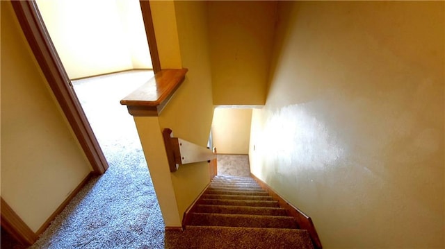 2604 S Peck Ct Unit B, Independence, MO 64055 - stairway with carpet floors and baseboards