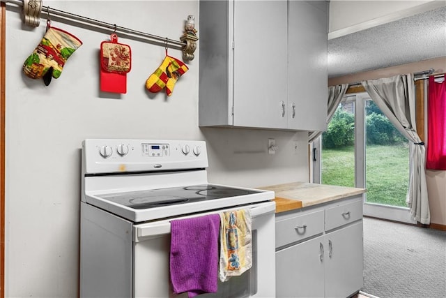 1234 S Pearl St, Independence, MO 64055 - kitchen featuring electric stove and carpet floors