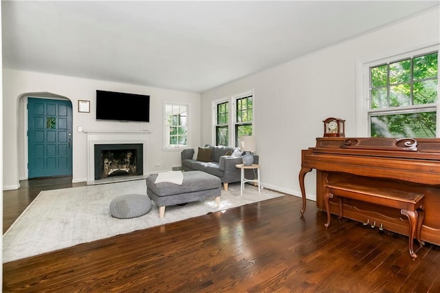 6347 Sni A Bar Rd, Kansas City, MO 64129 - living room with arched walkways, healthy amount of natural light, wood finished floors, and a fireplace
