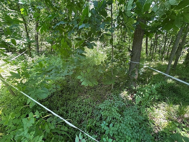 2332 Park Ln, Oak Grove, MO 64075 - view of nature