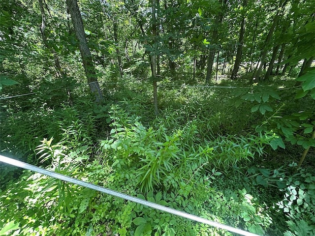2332 Park Ln, Oak Grove, MO 64075 - view of nature