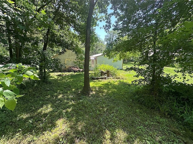2332 Park Ln, Oak Grove, MO 64075 - view of yard