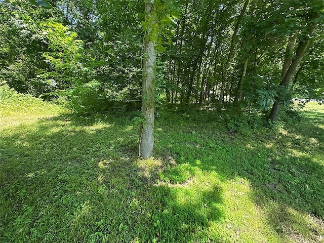 2332 Park Ln, Oak Grove, MO 64075 - photo 31