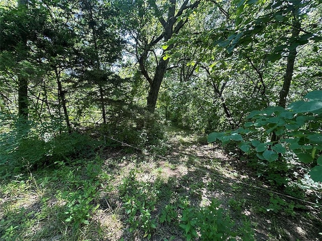 2332 Park Ln, Oak Grove, MO 64075 - photo 40