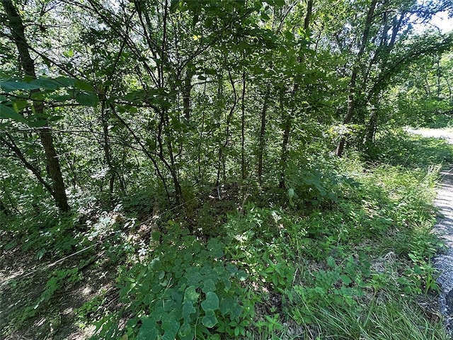 2332 Park Ln, Oak Grove, MO 64075 - photo 41