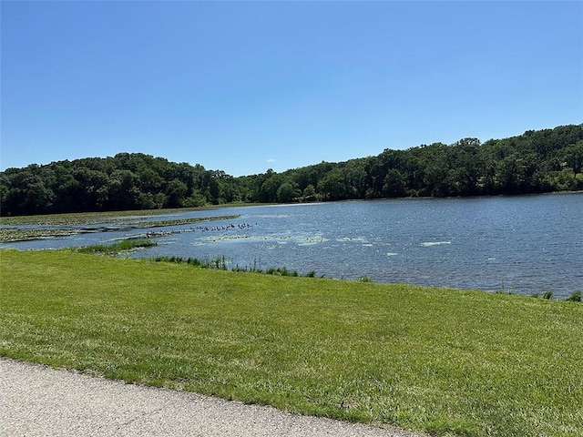 2332 Park Ln, Oak Grove, MO 64075 - photo 46