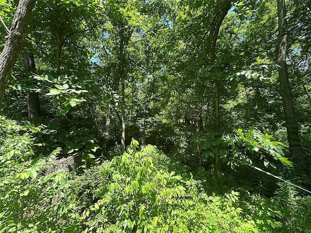 2332 Park Ln, Oak Grove, MO 64075 - photo 94