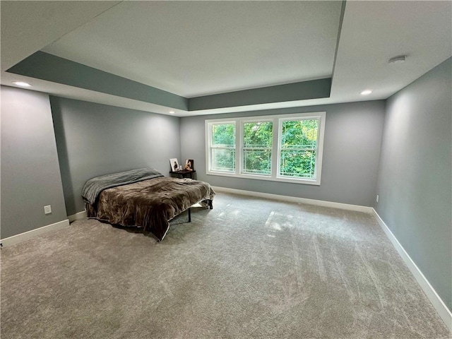 5443 N 101st Ter, Kansas City, KS 66109 - bedroom with carpet flooring, a tray ceiling, and recessed lighting
