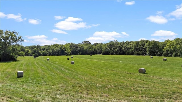 27779 Cold Water Rd, Louisburg, KS 66053 - photo 29