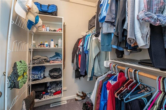 207 Woodhaven Dr, Smithville, MO 64089 - walk in closet with carpet