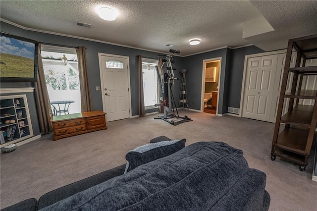 207 Woodhaven Dr, Smithville, MO 64089 - carpeted living room featuring crown molding and a textured ceiling