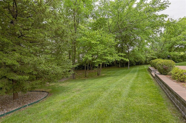 3500 S Mize Ridge Ct, Independence, MO 64057 - photo 82