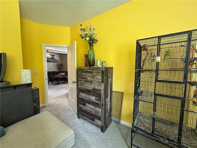 3120 N 89th Ter, Kansas City, KS 66109 - photo 38