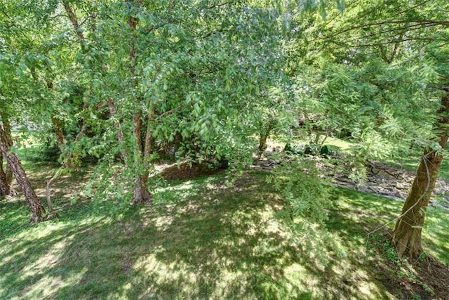 14333 Norwood St, Leawood, KS 66224 - view of local wilderness
