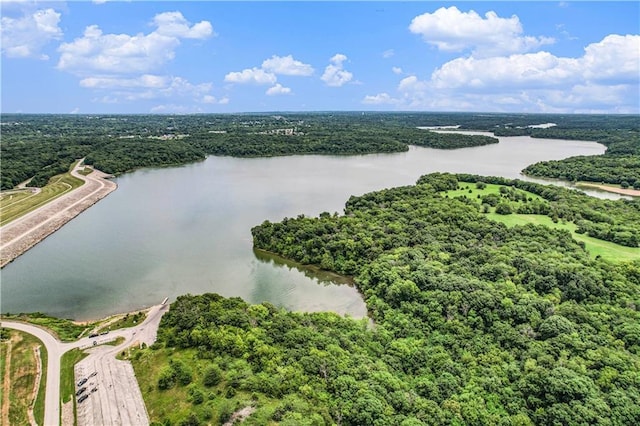 5713 NE Sapphire Ct, Lees Summit, MO 64064 - bird's eye view of a large body of water and a forest