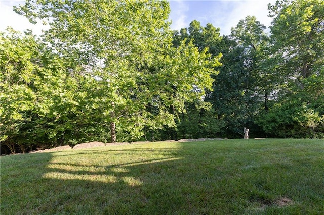 7226 N Spruce Ave, Kansas City, MO 64119 - photo 35