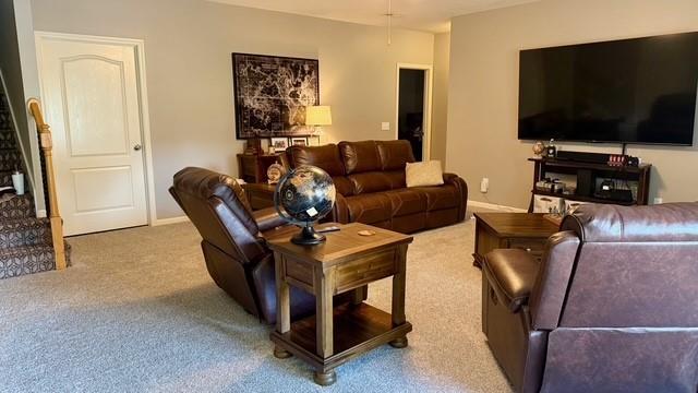13060 Woodridge St, Platte City, MO 64079 - photo 19