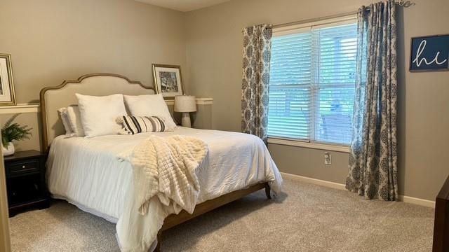 13060 Woodridge St, Platte City, MO 64079 - photo 23