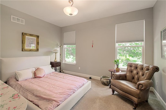 908 Pca Rd, Warrensburg, MO 64093 - carpeted bedroom featuring baseboards