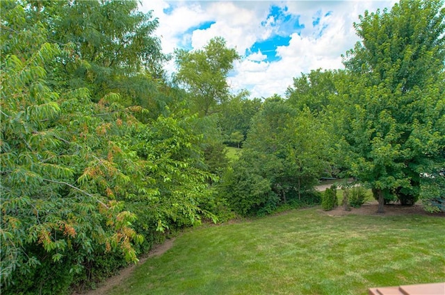 908 Pca Rd, Warrensburg, MO 64093 - view of green lawn featuring a view of trees