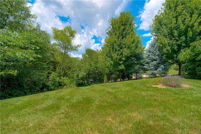 908 Pca Rd, Warrensburg, MO 64093 - view of grassy yard
