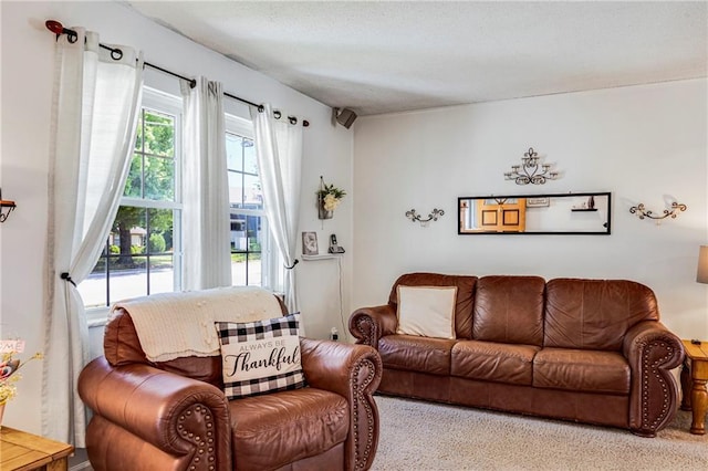 300 NE R D Mize Rd, Blue Springs, MO 64014 - view of living room